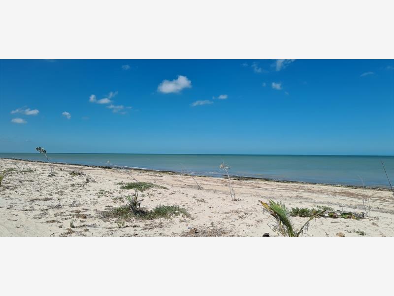 Terreno en venta en Champoton Centro, Champotón — foto 1 de 7