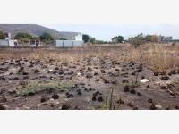Terreno en venta en El Venadito, Ayala — foto 2 de 9