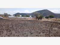 Terreno en El Venadito, Ayala, Morelos — foto 1 de 9