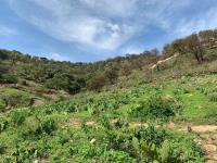 Terreno en venta en San Esteban, Zapopan — foto 2 de 16