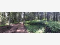 Terreno en venta en donde seras rico por ese hermoso paraiso, Mineral del Monte — foto 2 de 23