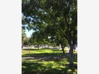 Terreno en venta en San Armando, Torreón — foto 2 de 5