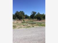 Terreno en venta en San Armando, Torreón — foto 3 de 5