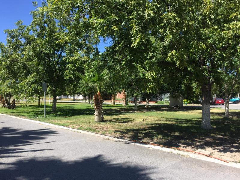 Terreno en Venta en San Armando, Torreón, Coahuila de Zaragoza