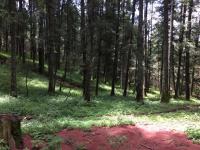 Terreno en venta en Pueblo Nuevo, Mineral del Monte — foto 2 de 38
