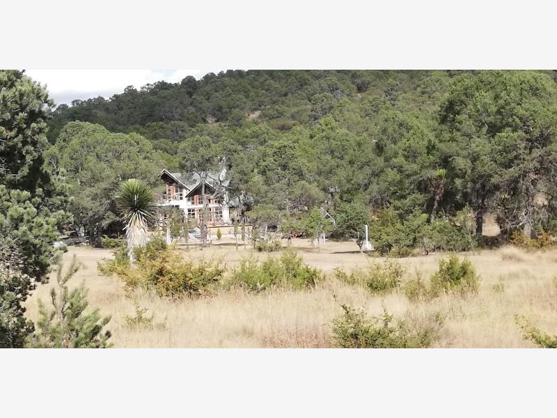 Terreno en venta en Artesillas, Arteaga — foto 1 de 10