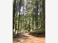 Terreno en venta en Pueblo Nuevo, Pachuca de Soto — foto 2 de 13