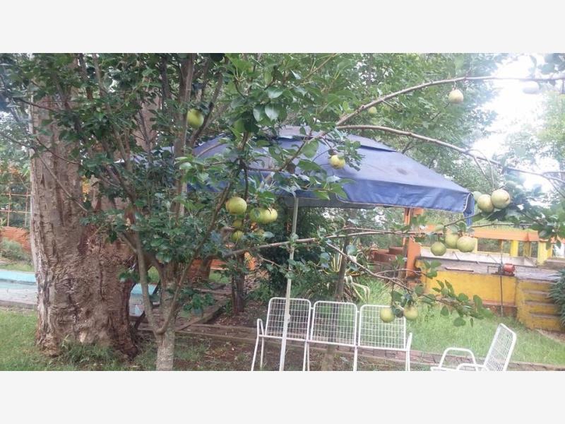 Terreno en venta en Las Flores, Atotonilco El Grande — foto 1 de 18