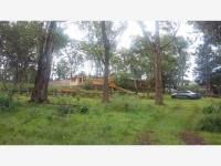 Terreno en venta en Las Flores, Atotonilco El Grande — foto 3 de 18