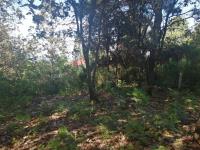 Terreno en venta en Zacualpan de Ecatepec, San Cristóbal de las Casas — foto 3 de 7