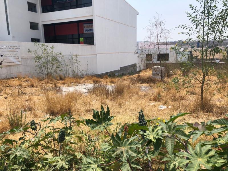 Terreno en renta en Paseos del Marques, El Marqués — foto 1 de 11