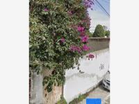 Terreno en venta en Olivar de los Padres, Álvaro Obregón — foto 2 de 9