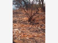 Terreno en venta en Ampliación La Soledad (Norte), Morelia — foto 2 de 5