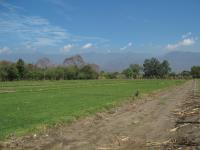 Terreno en venta en Oacalco, Yautepec — foto 2 de 6