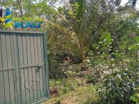 Terreno en venta en Chiconcoa, Tuxpan — foto 2 de 8