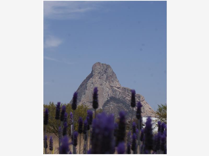 Terreno en venta en Bernal, Ezequiel Montes — foto 1 de 11