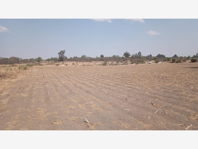 Terreno en venta en Encinillas, Polotitlán — foto 1 de 11