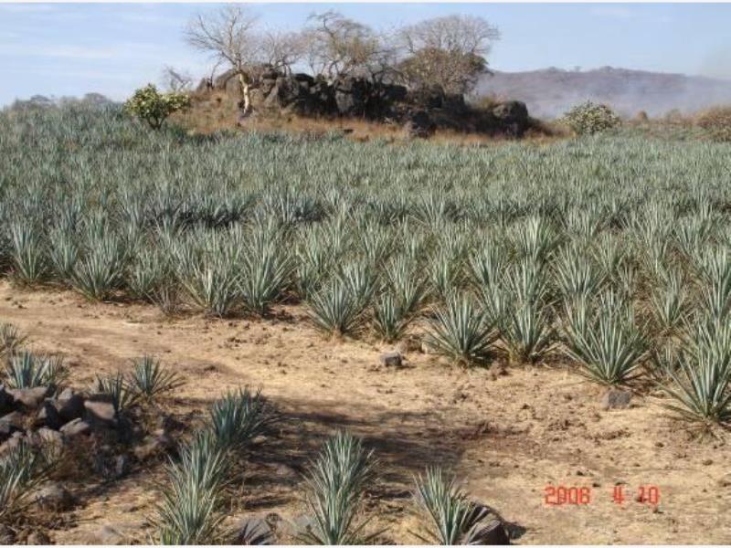 Terreno en venta en La Resolana, Acatlán de Juárez — foto 1 de 3