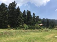 Terreno en venta en Mineral del Monte Centro, Mineral del Monte — foto 3 de 7
