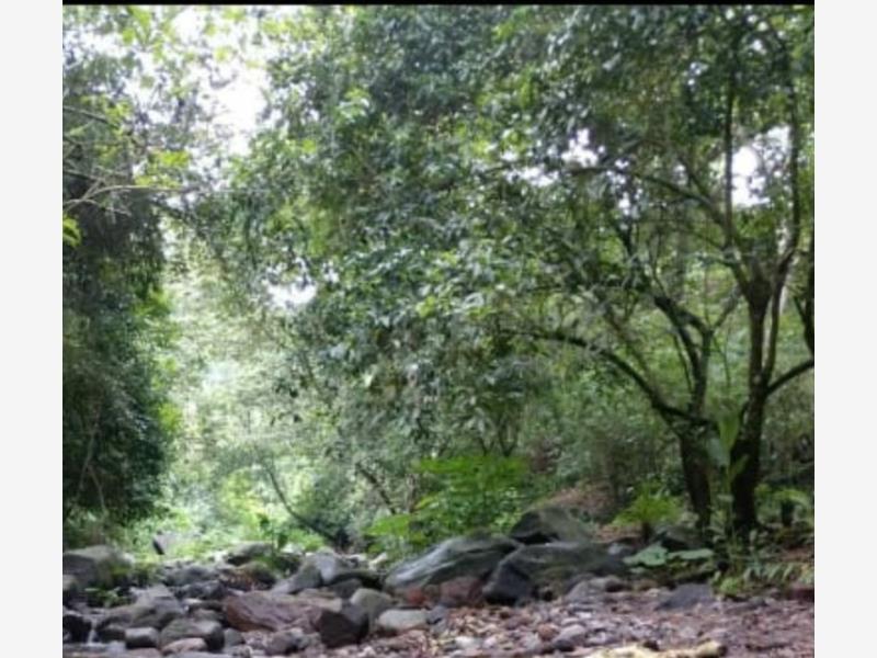 Terreno en venta en Suchitlan, Comala