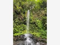 Terreno en venta en Tebanca, Catemaco, Veracruz de Ignacio de la Llave
