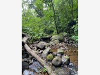 Terreno en venta en Tebanca, Catemaco — foto 2 de 6