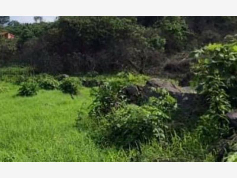 Terreno en venta en El Trapiche, Cuauhtémoc