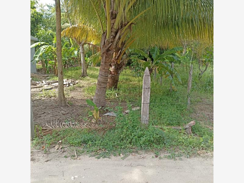 Terreno en venta en Norte 1ra. Sección (Buena Vista), Comalcalco — foto 1 de 6