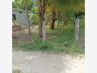 Terreno en venta en Norte 1ra. Sección (Buena Vista), Comalcalco — foto 2 de 6