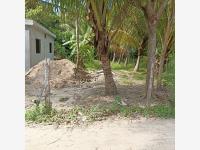 Terreno en venta en Norte 1ra. Sección (Buena Vista), Comalcalco — foto 3 de 6