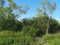 Terreno en venta en Dulces Nombres, Pesquería — foto 2 de 9