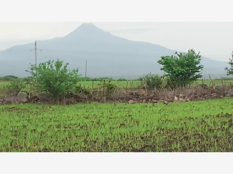 Terreno en venta en Cuauhtemoc, Cuauhtémoc
