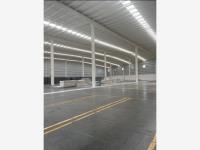 Bodega en renta en Alameda, El Salto — foto 3 de 4