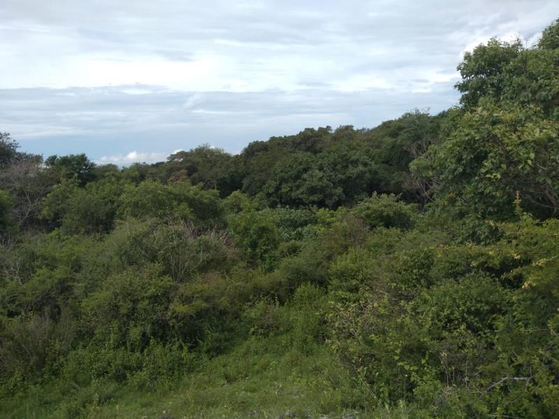 Terreno en venta en Cuauhtemoc, Cuauhtémoc