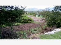 Terreno en venta en Tehuixtla, Jojutla — foto 2 de 10