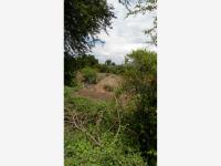 Terreno en venta en Tehuixtla, Jojutla — foto 3 de 10