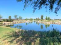 Terreno en venta en Altozano la Nueva Laguna, Gómez Palacio — foto 2 de 7