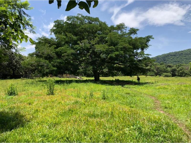 Terreno en venta en San Andrés de la Cal, Tepoztlán — foto 1 de 5