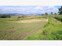 Terreno en venta en El Colorado, Aculco — foto 2 de 4