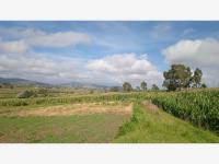Terreno en venta en El Colorado, Aculco — foto 3 de 4