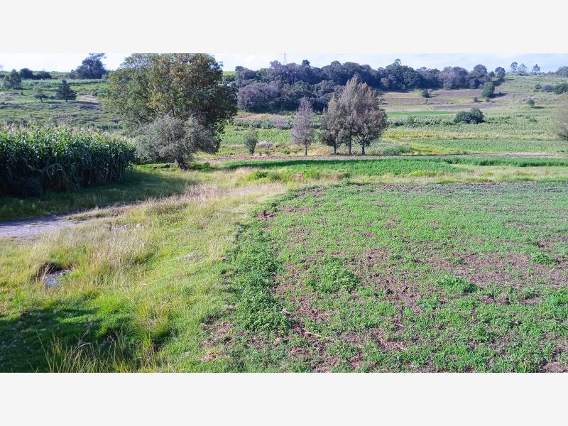 Terreno en venta en El Colorado, Aculco — foto 1 de 4