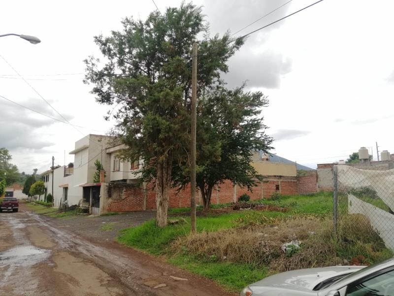 Imagen 5