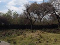 Terreno en venta en Tepoztlan Centro, Tepoztlán — foto 2 de 5