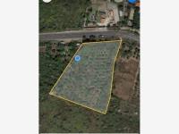 Terreno en venta en Xoxocotla Centro, Xoxocotla — foto 3 de 8