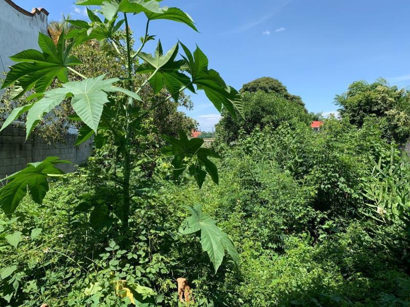 Terreno en venta en Sumiya, Jiutepec — foto 1 de 5