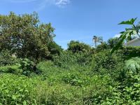 Terreno en venta en Sumiya, Jiutepec — foto 3 de 5