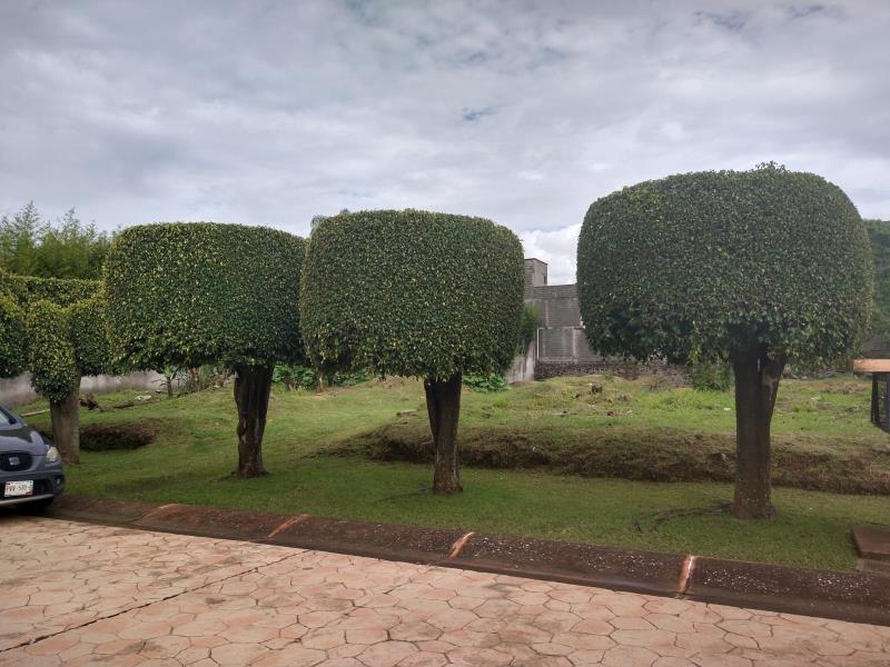 Terreno en venta en La Herradura, Cuernavaca — foto 1 de 9
