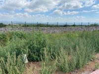 Terreno en venta en Ciudad Maderas Sur II, Apaseo El Alto — foto 3 de 9