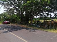 Terreno en venta en Anton Lizardo, Alvarado — foto 3 de 9