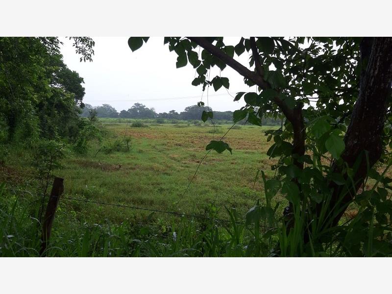 Terreno en venta en El Buzón, Manlio Fabio Altamirano — foto 1 de 9